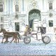 シェンブル宮殿の馬車  ( A wagon in Schlobrunn)